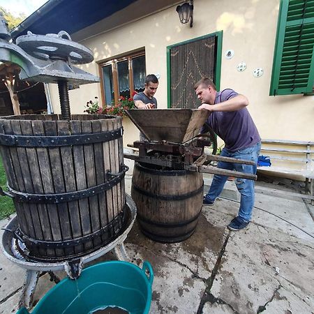 Villa Rihuini Eco Wine House Transylvania Richisu المظهر الخارجي الصورة