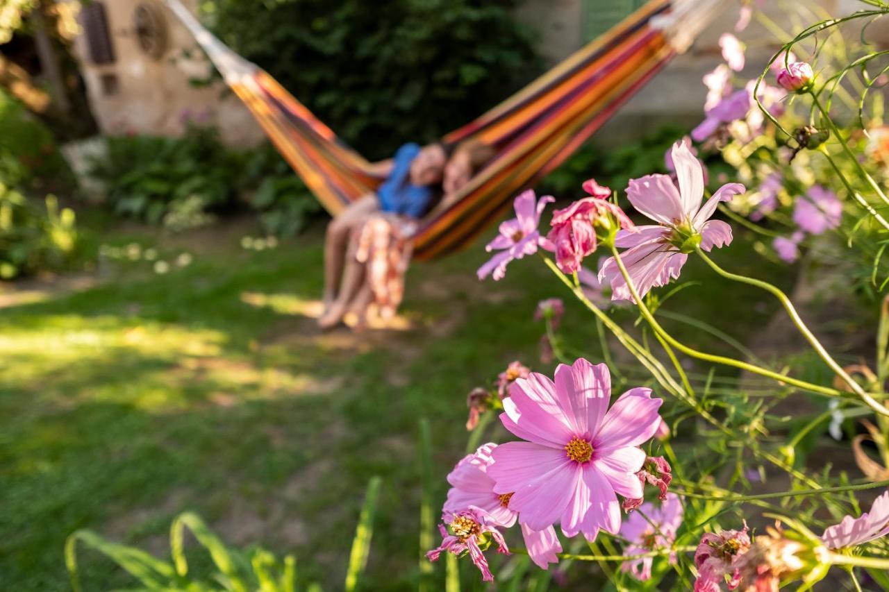 Villa Rihuini Eco Wine House Transylvania Richisu المظهر الخارجي الصورة
