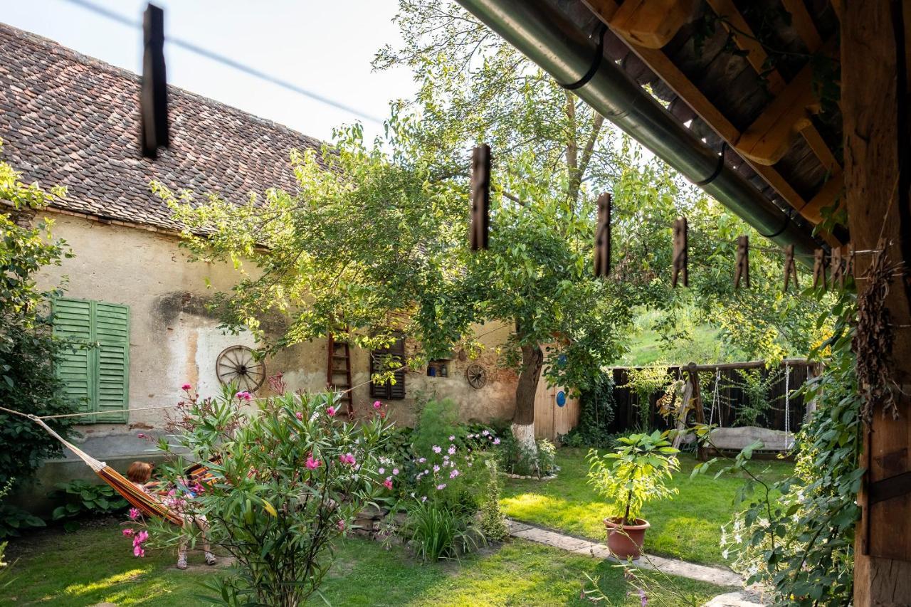 Villa Rihuini Eco Wine House Transylvania Richisu المظهر الخارجي الصورة