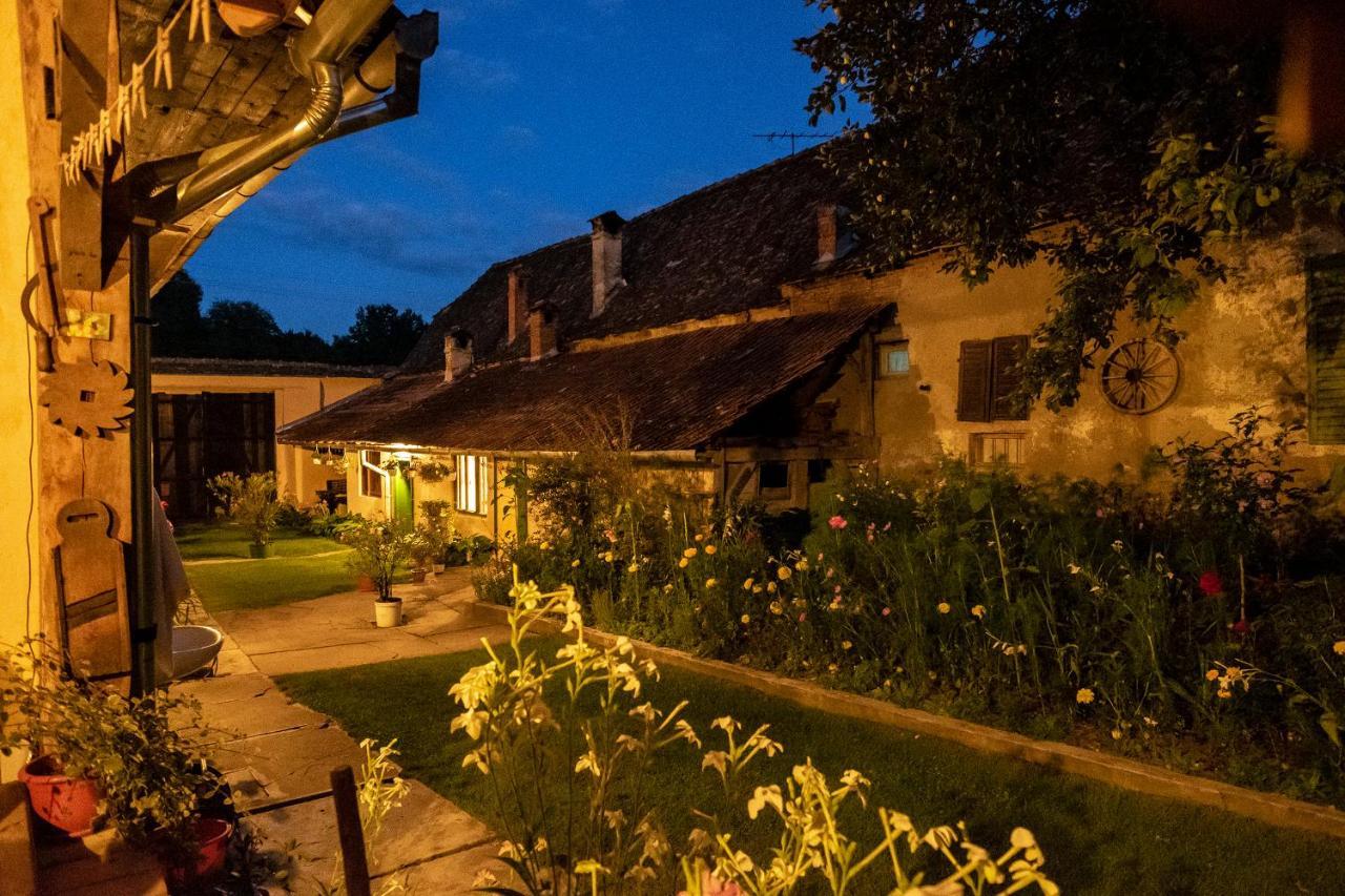 Villa Rihuini Eco Wine House Transylvania Richisu المظهر الخارجي الصورة