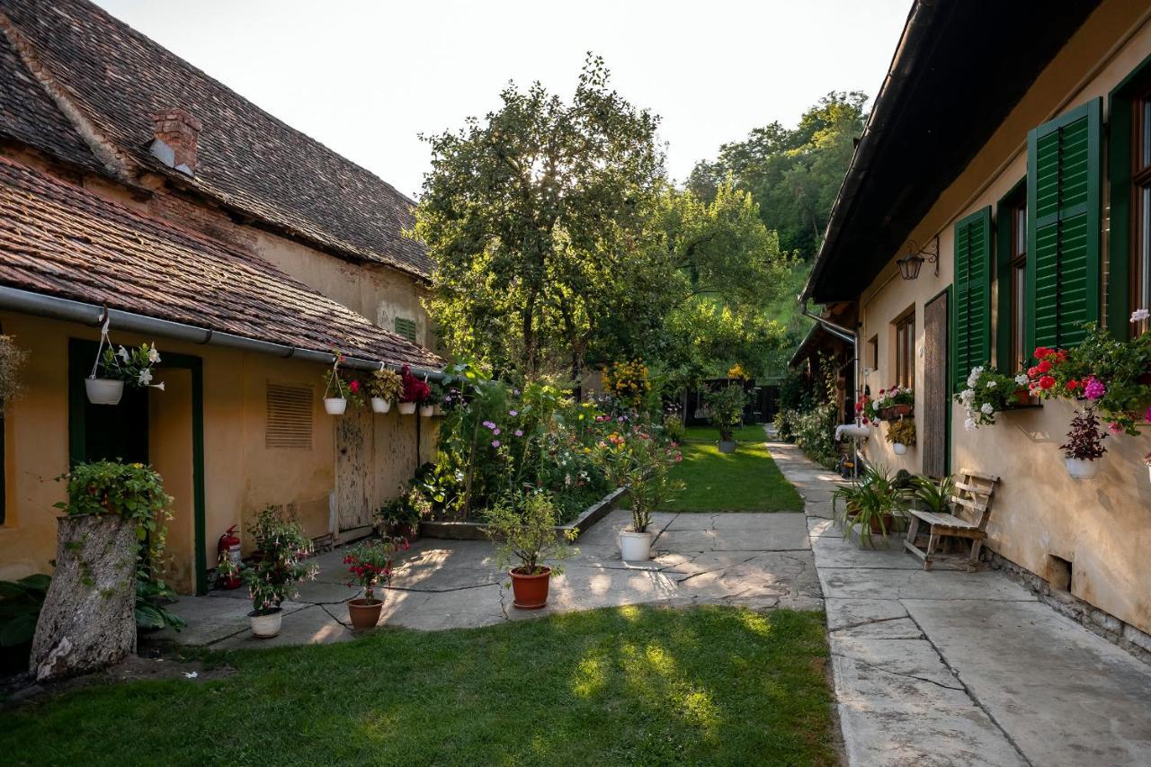 Villa Rihuini Eco Wine House Transylvania Richisu المظهر الخارجي الصورة