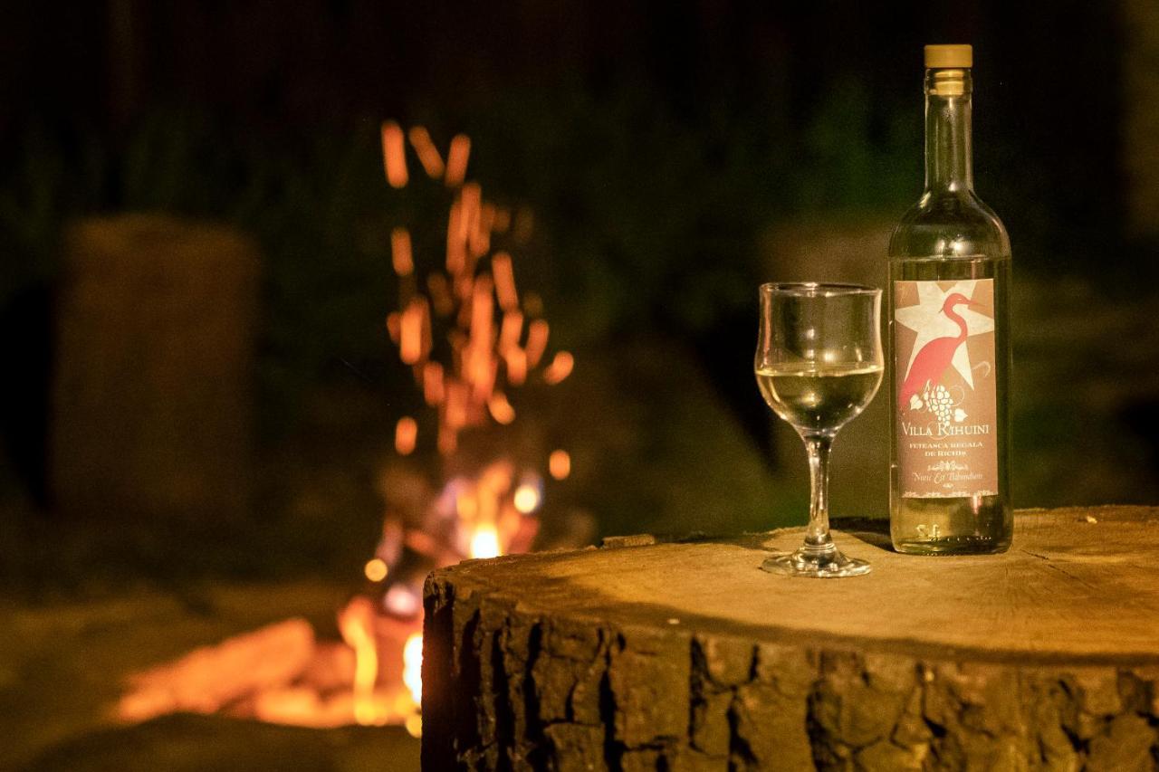 Villa Rihuini Eco Wine House Transylvania Richisu المظهر الخارجي الصورة