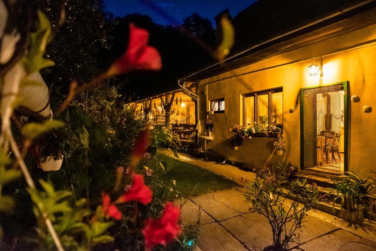 Villa Rihuini Eco Wine House Transylvania Richisu المظهر الخارجي الصورة