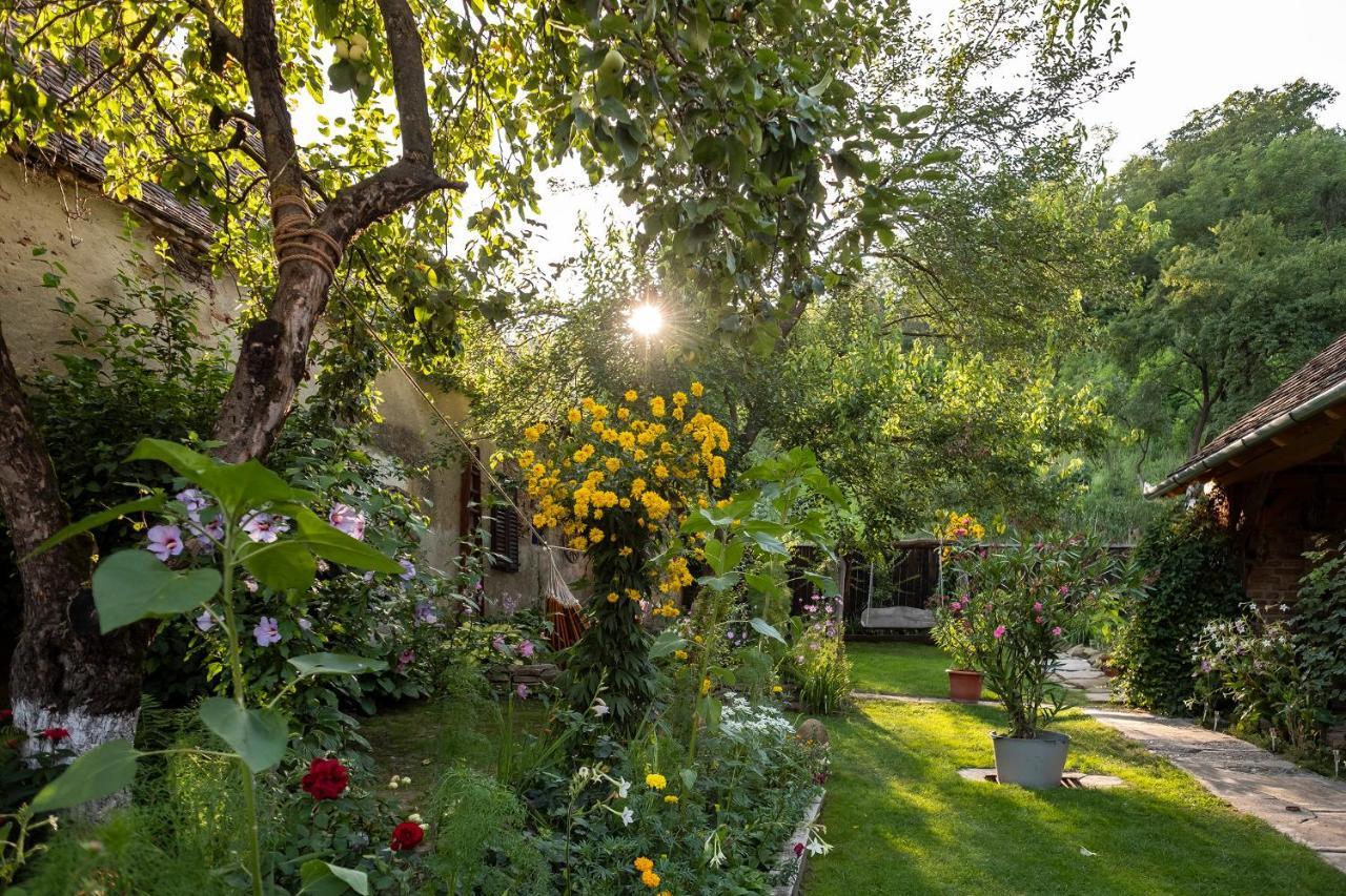 Villa Rihuini Eco Wine House Transylvania Richisu المظهر الخارجي الصورة
