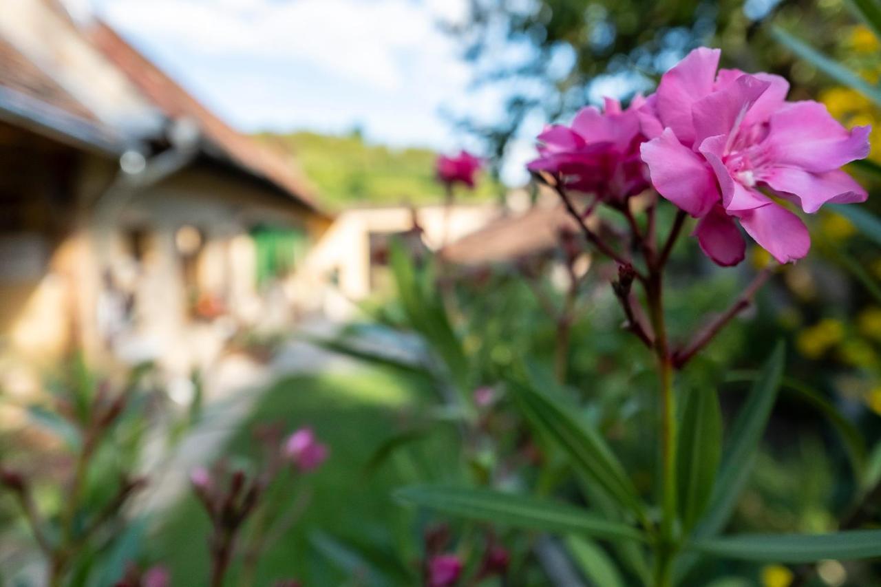 Villa Rihuini Eco Wine House Transylvania Richisu المظهر الخارجي الصورة