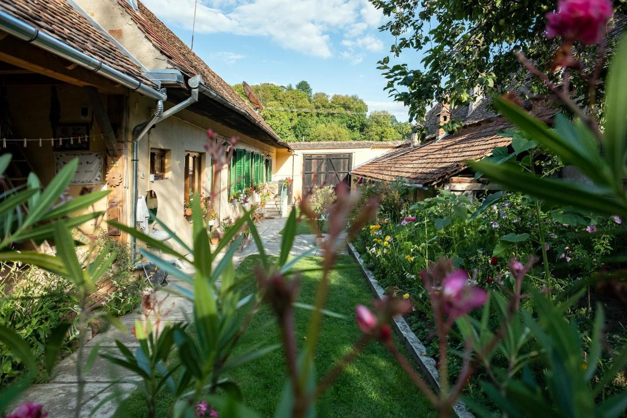 Villa Rihuini Eco Wine House Transylvania Richisu المظهر الخارجي الصورة