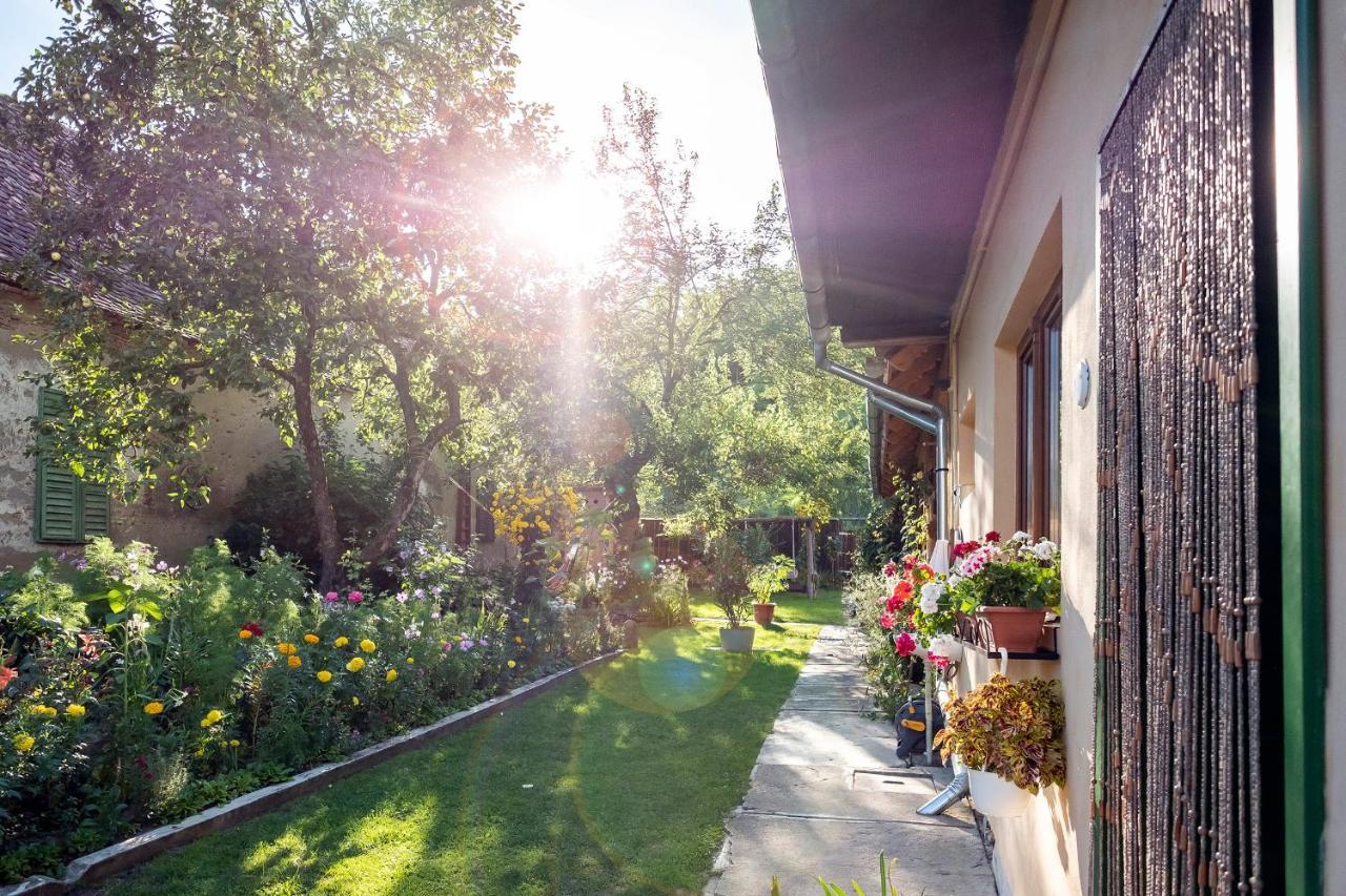 Villa Rihuini Eco Wine House Transylvania Richisu المظهر الخارجي الصورة