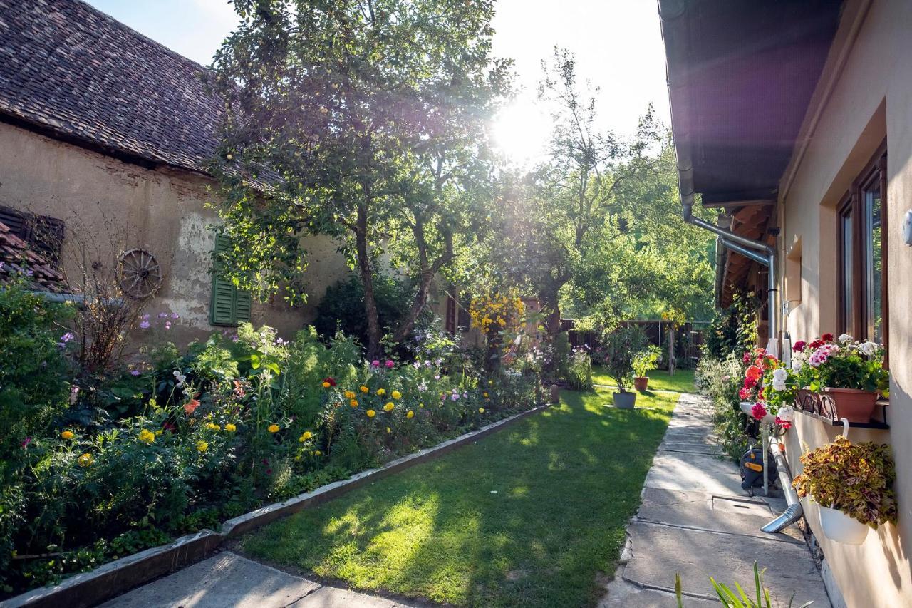 Villa Rihuini Eco Wine House Transylvania Richisu المظهر الخارجي الصورة