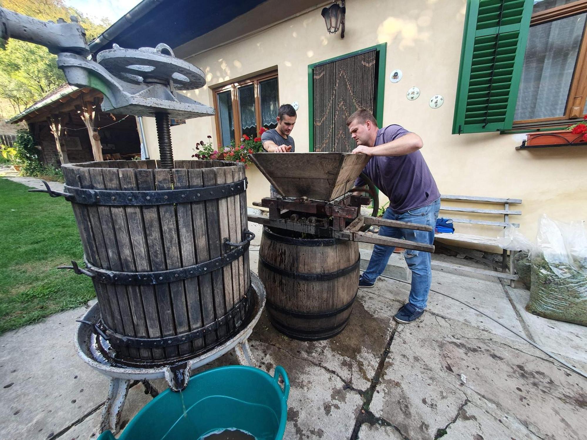 Villa Rihuini Eco Wine House Transylvania Richisu المظهر الخارجي الصورة