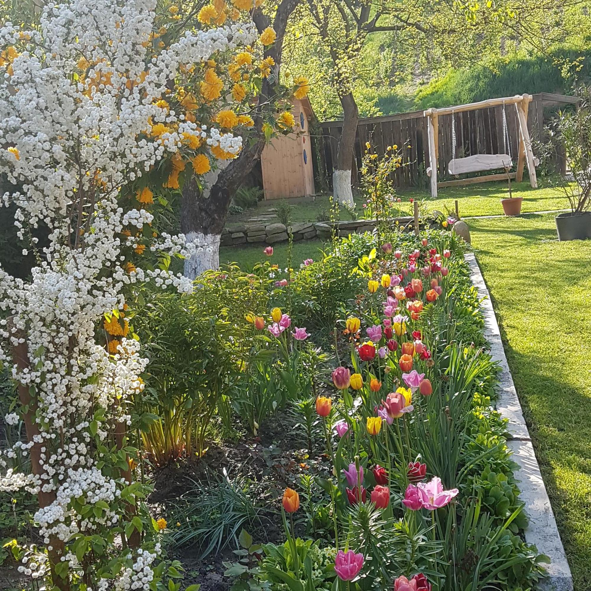 Villa Rihuini Eco Wine House Transylvania Richisu المظهر الخارجي الصورة